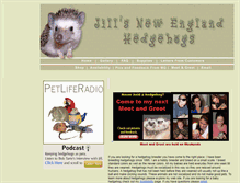 Tablet Screenshot of jillsnewenglandhedgehogs.com